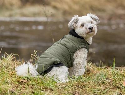 Trixie Hondenjas Arlay Donkergroen