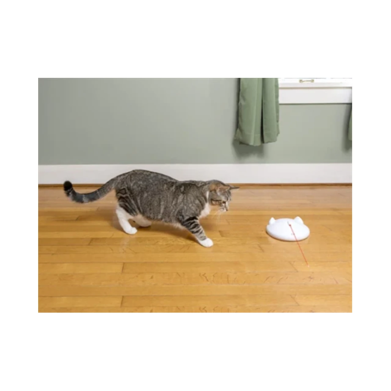 Petsafe Zip