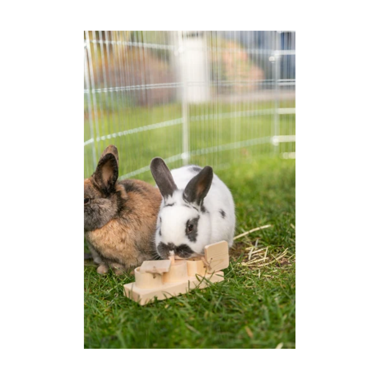 Trixie Snack Cups for Rats and Rabbits Wood