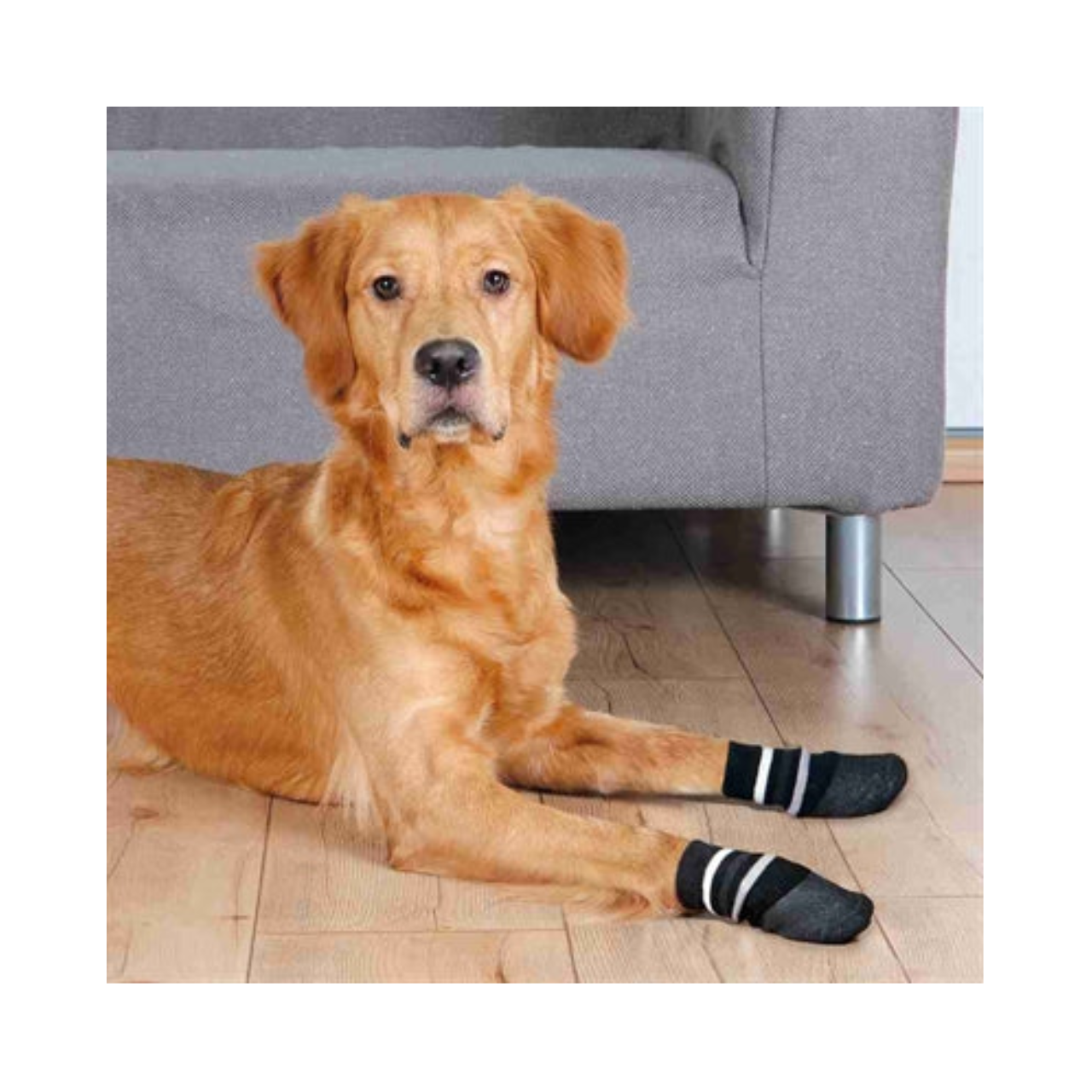Trixie Dog Socks Anti-Slip with Rubber Layer All Around Black