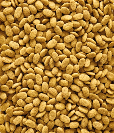 Nutribird P15 Original Onderhoudsvoeder