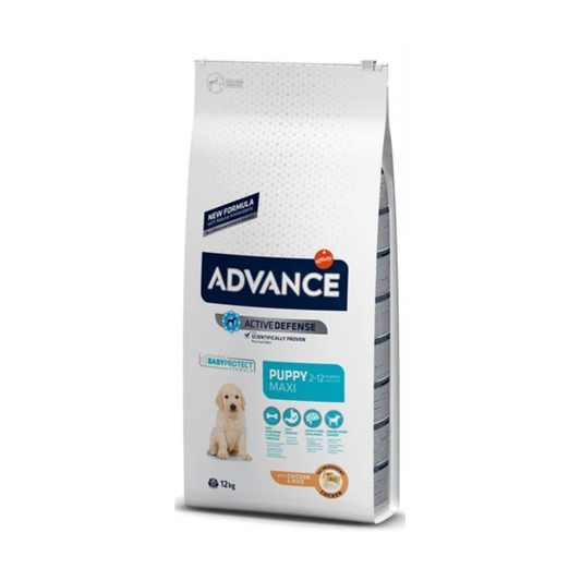 Advance Medium Light