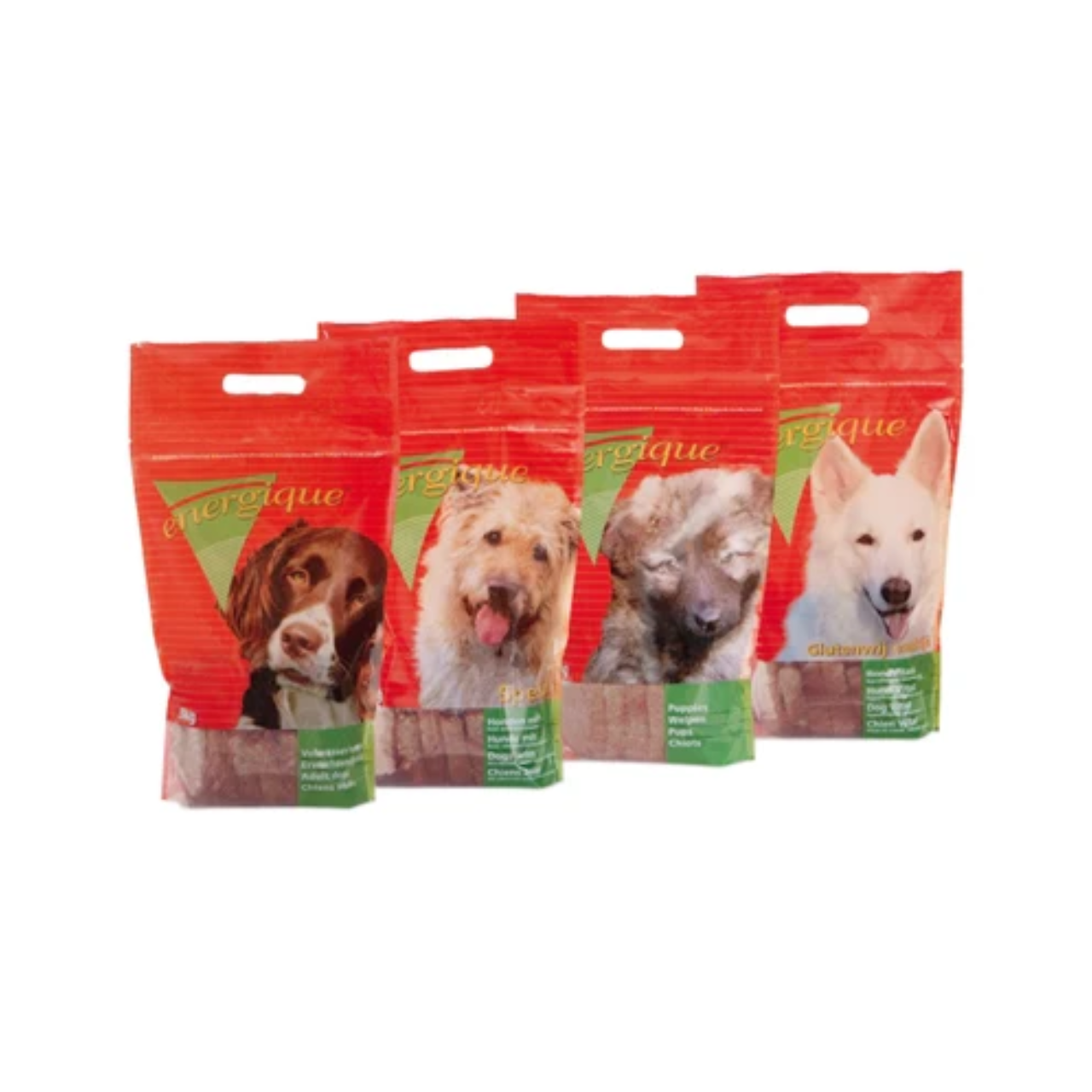 Energique No. 2 Puppy