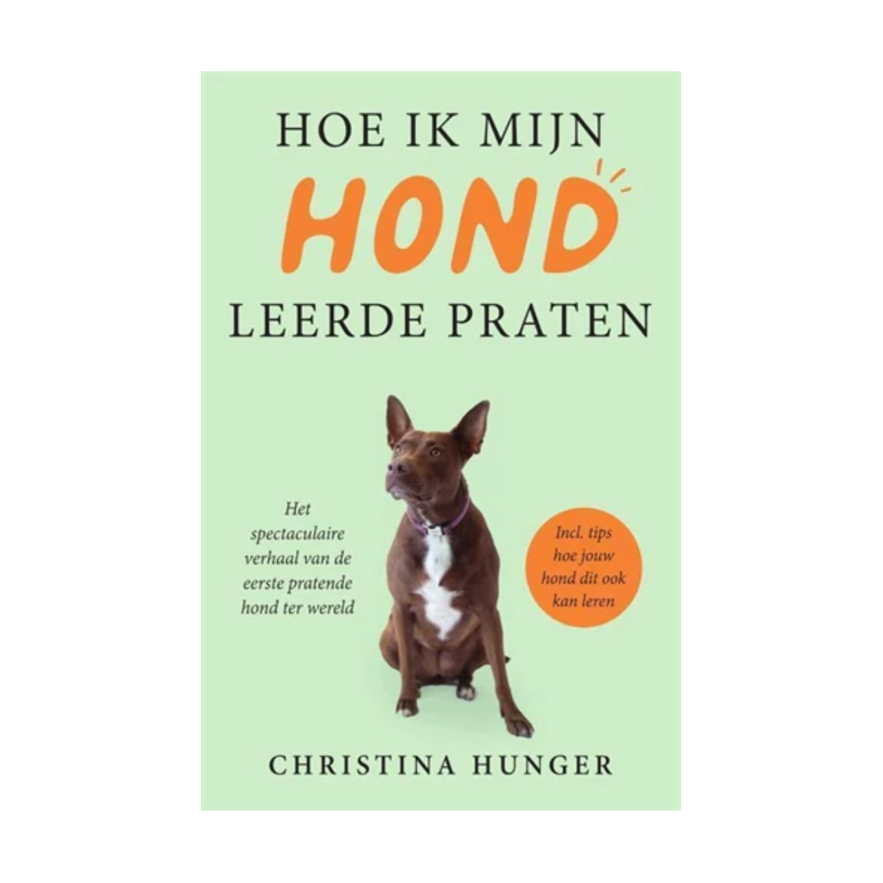 Unbranded Book How I Taught My Dog to Talk