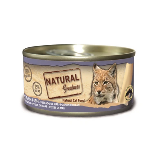Natural Greatness Cat Ocean Fish
