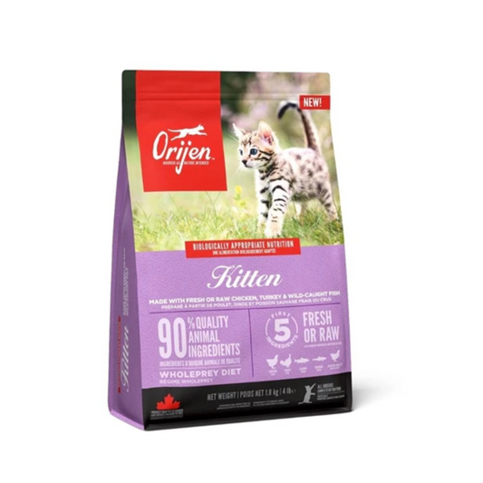 Orijen Kitten