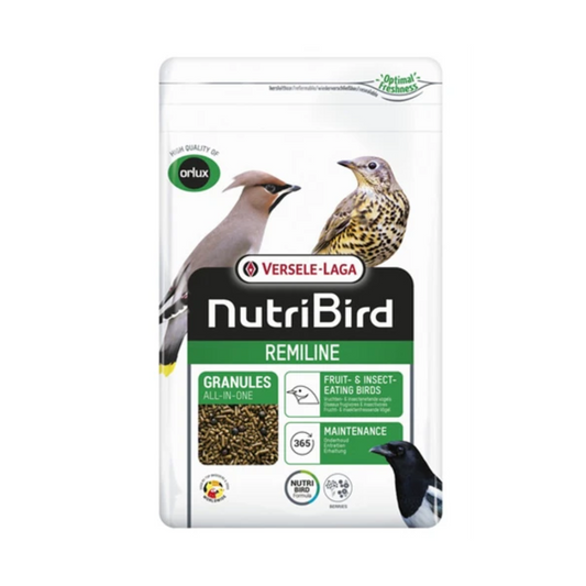 Orlux Remiline Pateekorrel