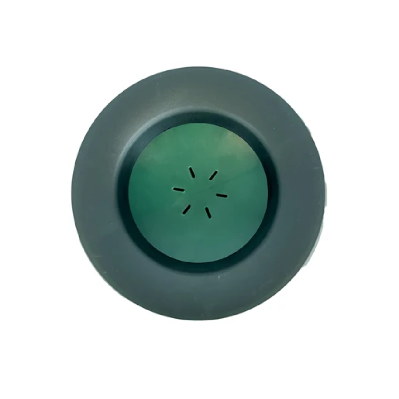 Road Refresher Drinking Bowl for on the Road Green