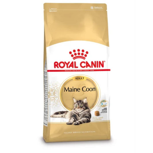 Royal Canin Maine Coon