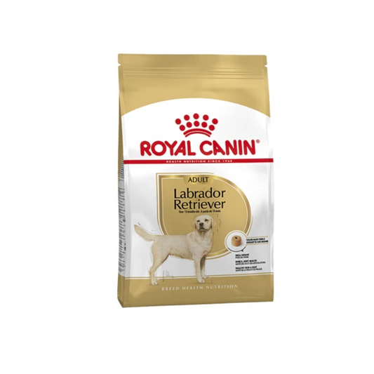 Royal Canin Labrador Retriever Adult