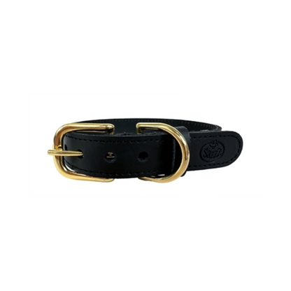 Sazzz Dog Collar Braveheart Classic Leather Black