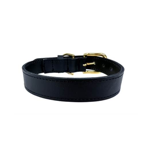 Sazzz Dog Collar Braveheart Classic Leather Black