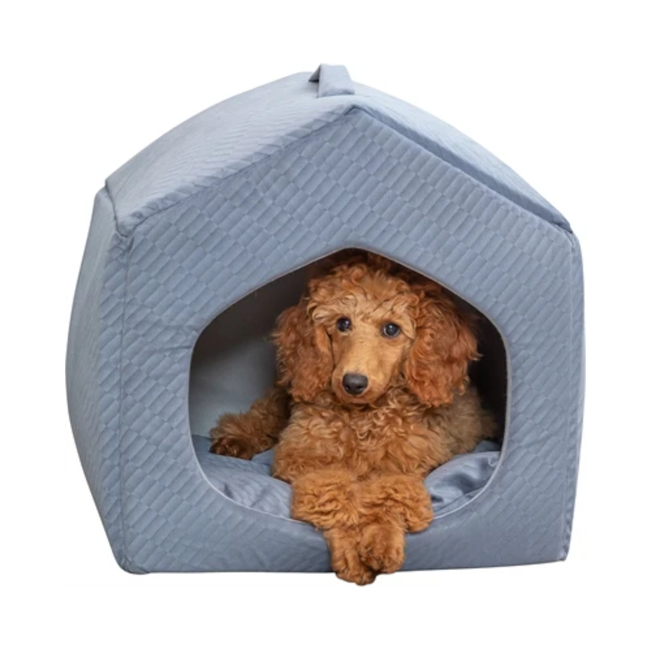 Trixie Cat Basket Igloo Alena Blue / Gray