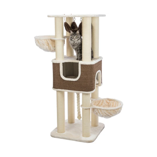 Trixie Scratching Post XXL Humberto Cream / Dark Brown