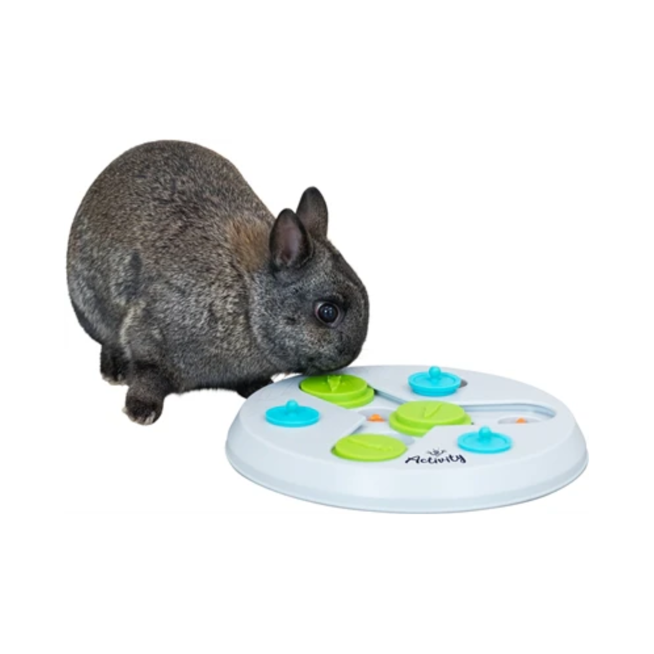 Trixie Slide &amp; Funboard Plastic