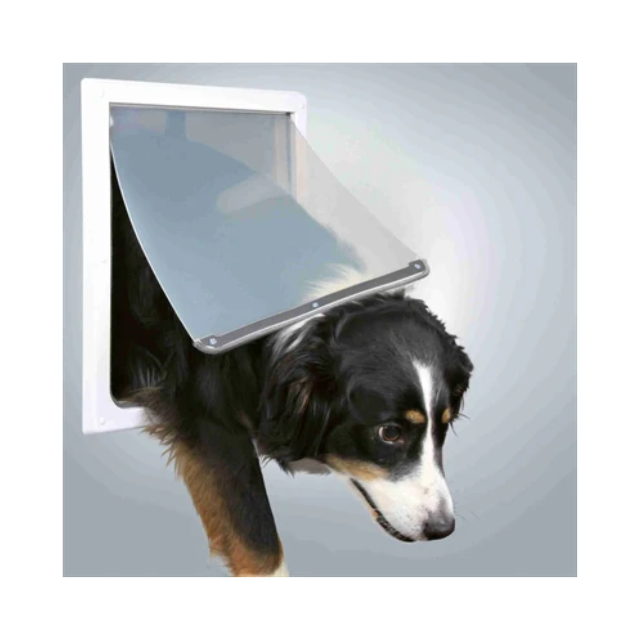 Trixie 2-Way Dog Flap White