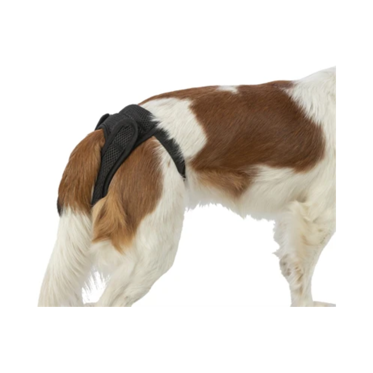 Trixie Protective Pants Comfort Mesh Material Black