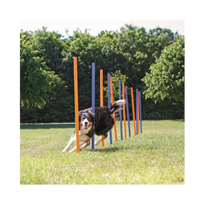 Trixie Dog Activity Agility Slalom Poles Blue/Orange