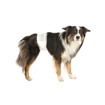 Trixie Dog Diapers Male