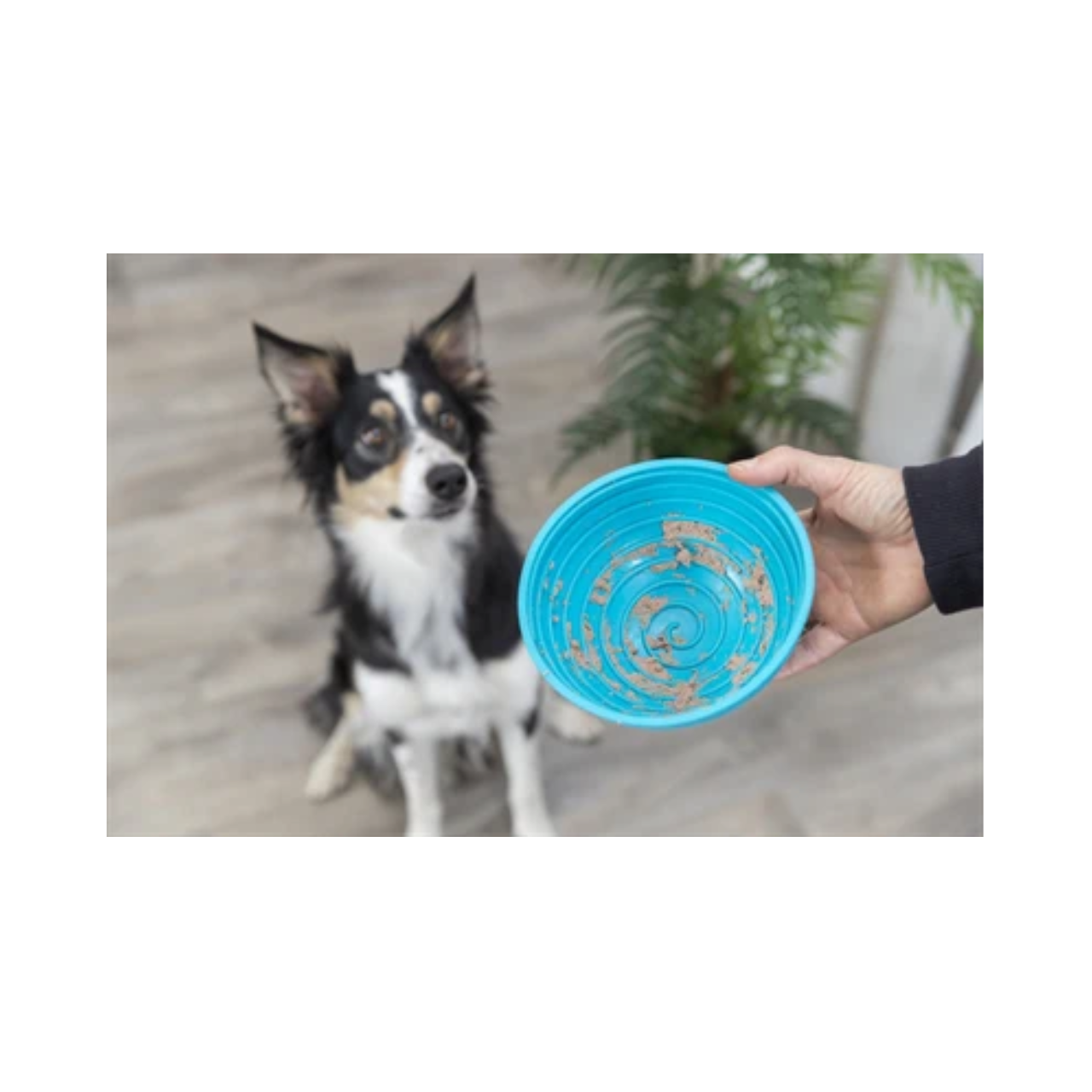 Trixie Lick'n'snack Dog Food Bowl Silicone