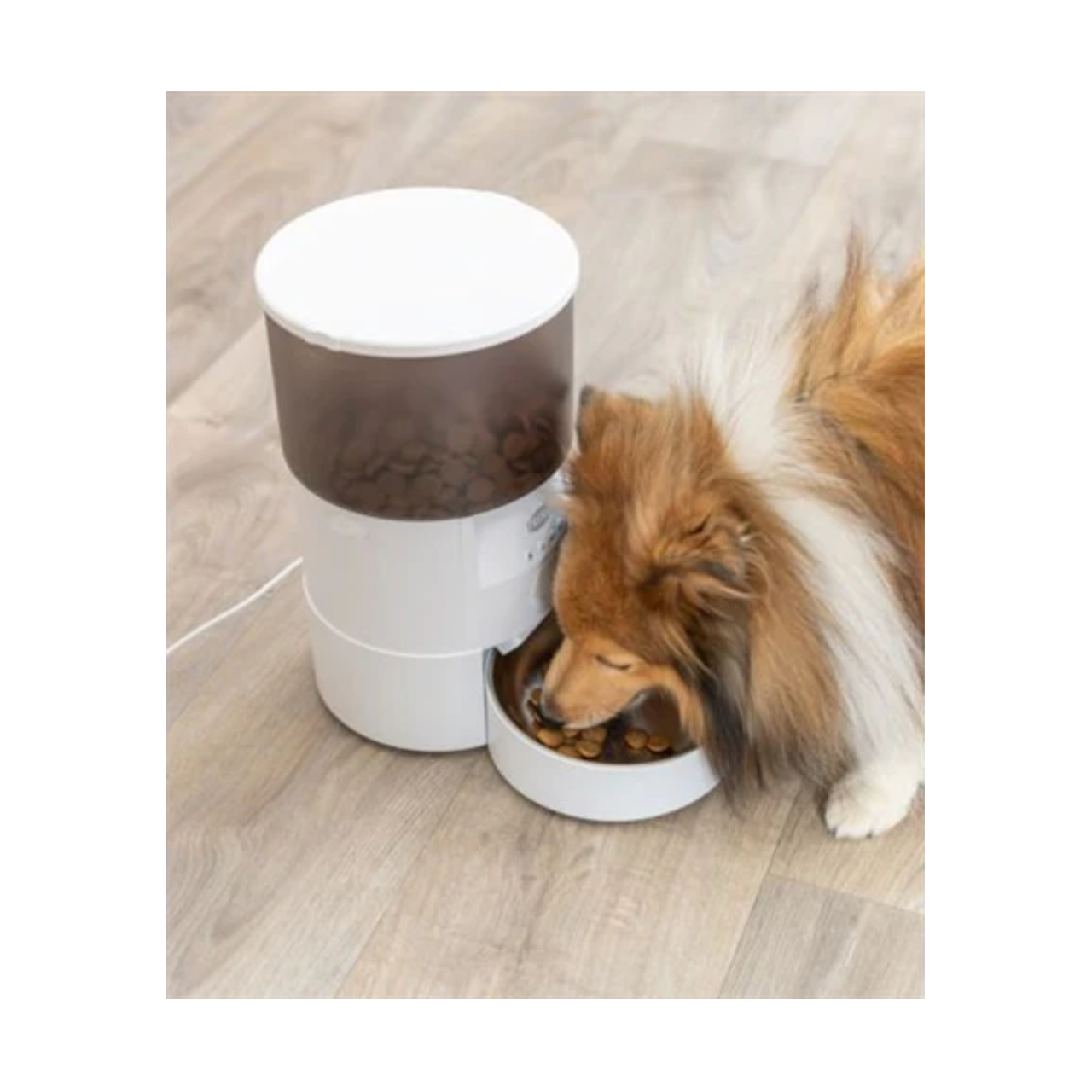 Trixie Automatic Feeder Tx-C Smart White